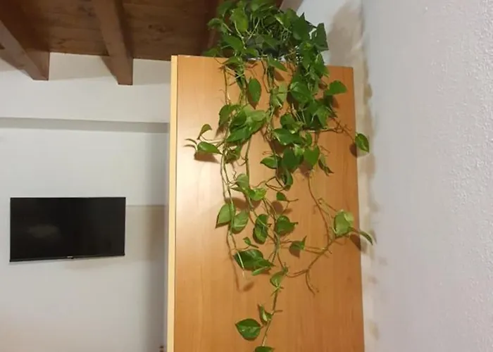 Bnbg - Ronzoni Apartamento